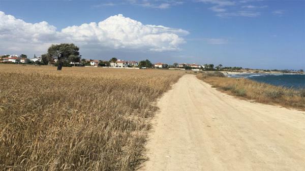fieldsotira