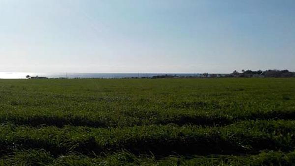 fieldgeroskipou