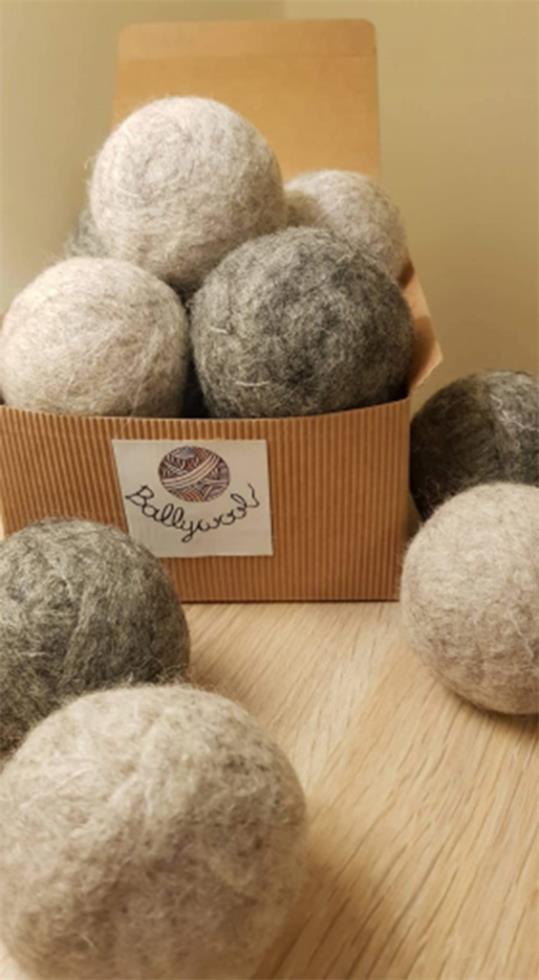 juniorachievementballywool3