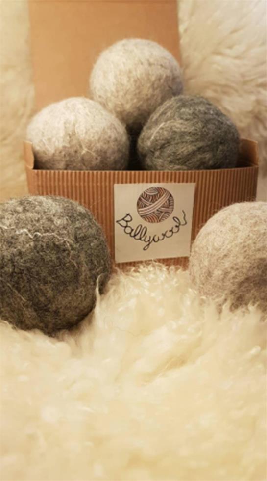 juniorachievementballywool4