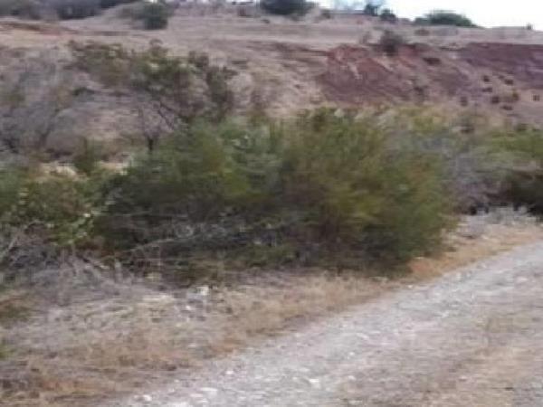 episkopi12000