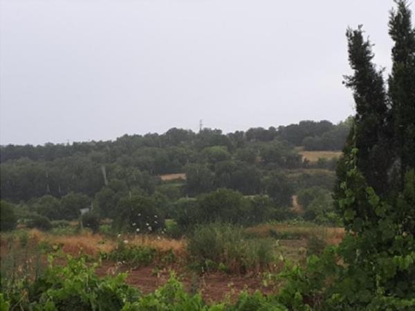 polemi15000