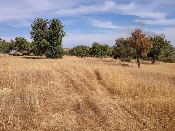 paxna