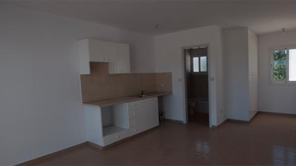 studiopegeia405003