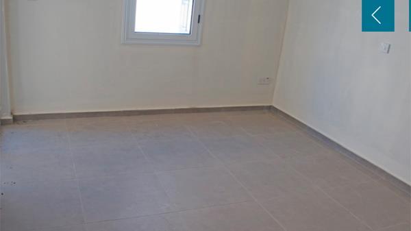diamerismapolis445004