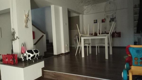platy1750003
