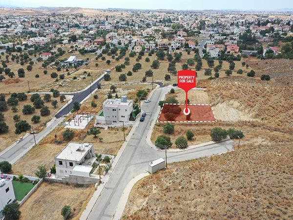 altamiratseri2
