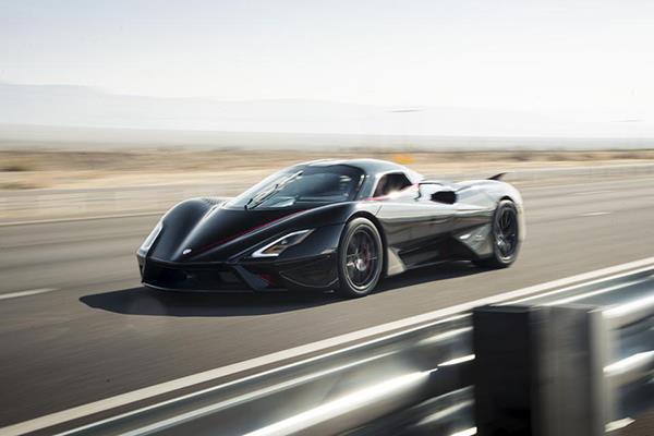 tuatara2