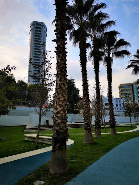 plateia6