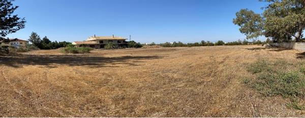 latsia5