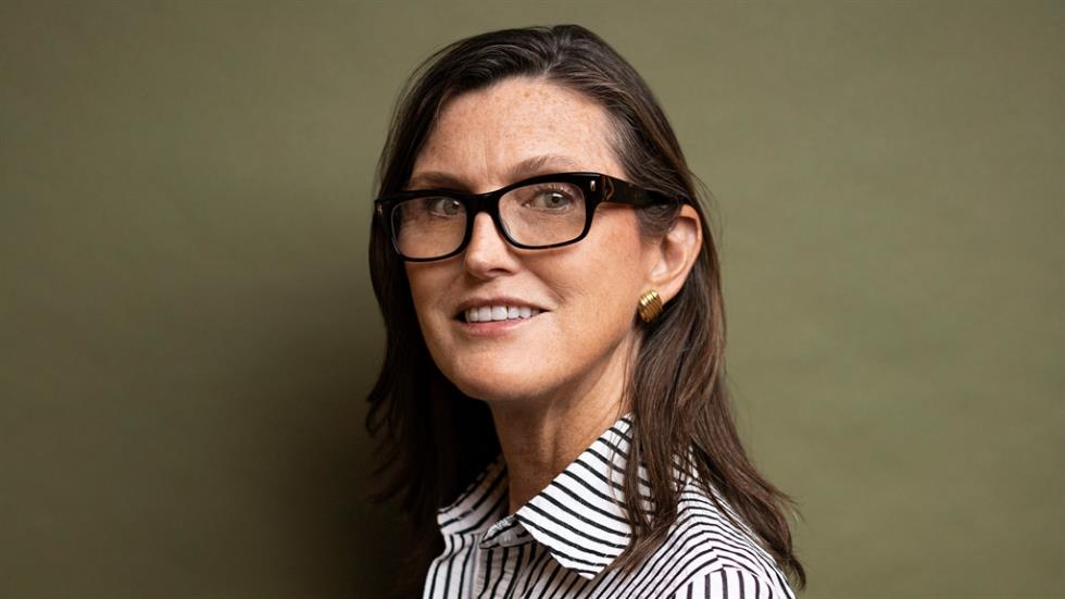 3844247132538509 image