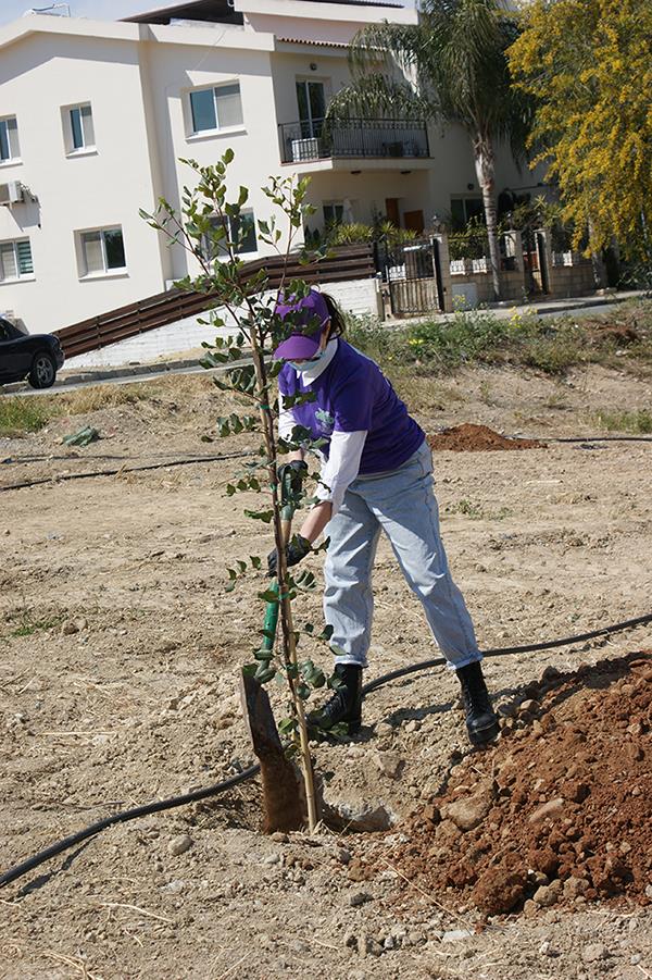 cablenetgogreen8