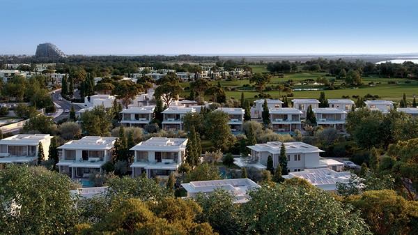 3974127932511334 image