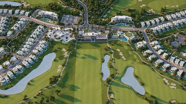 3974127706302634 image