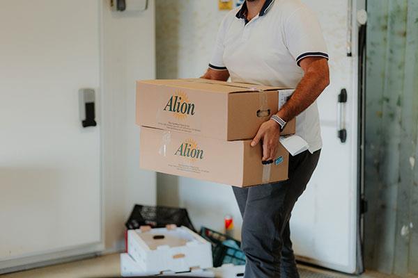 alionmov4