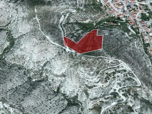 altamira4