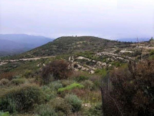altamira5