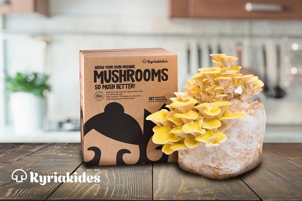Mushroom_kit2 (1) (1)