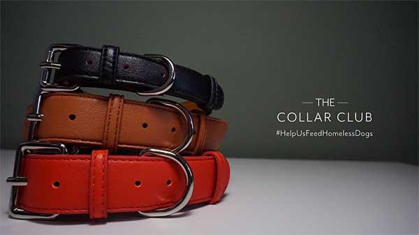 collar2