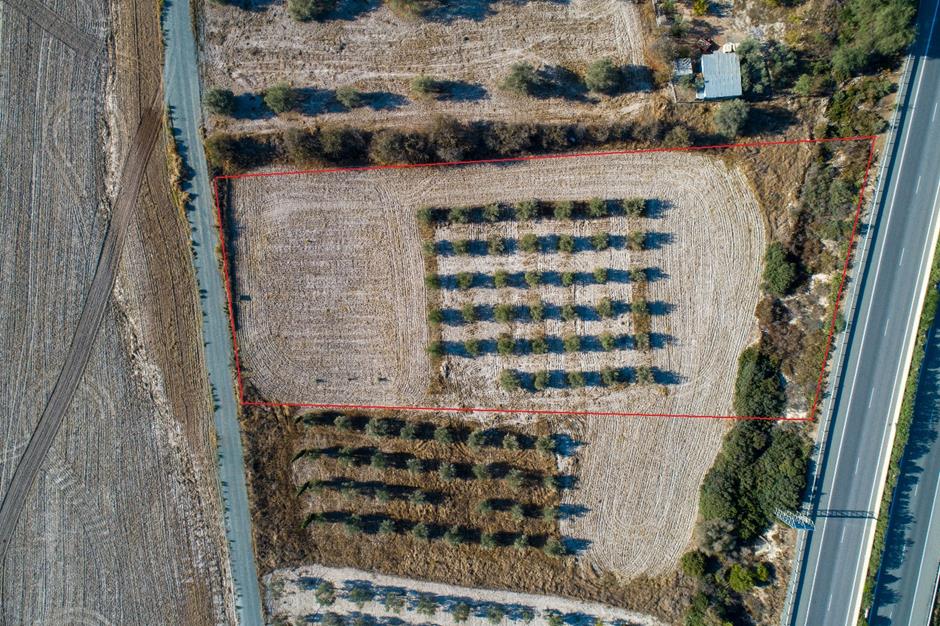 4249689552619964 image