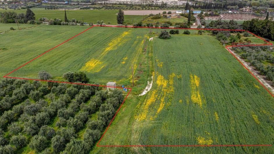 4249689713610932 image