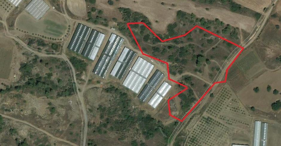 4249690144636169 image