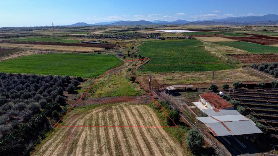 4249690509985827 image