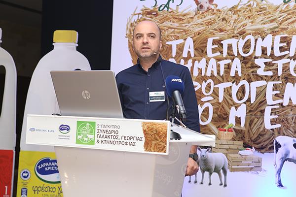 4256393041521964 image