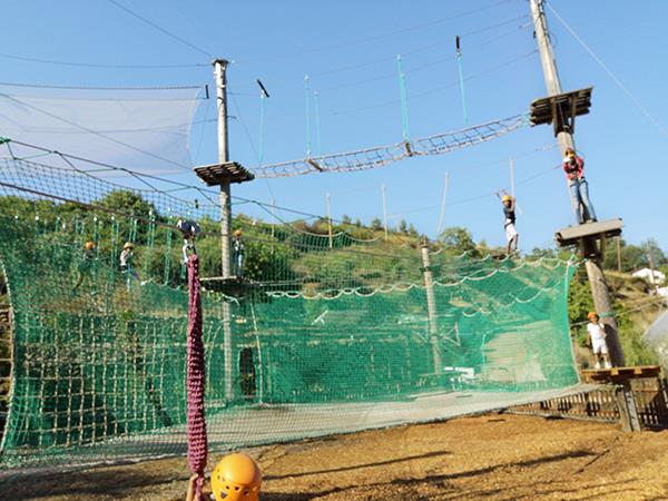 4258412267120901 image