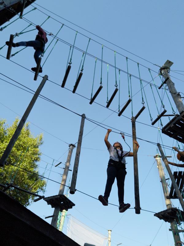 4258413036980901 image