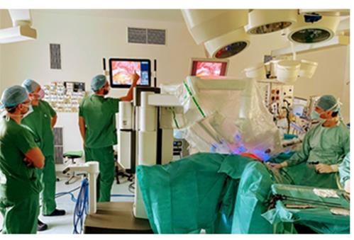 4259129333422820 image