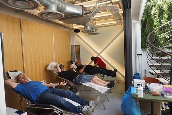 4259333098316194 image