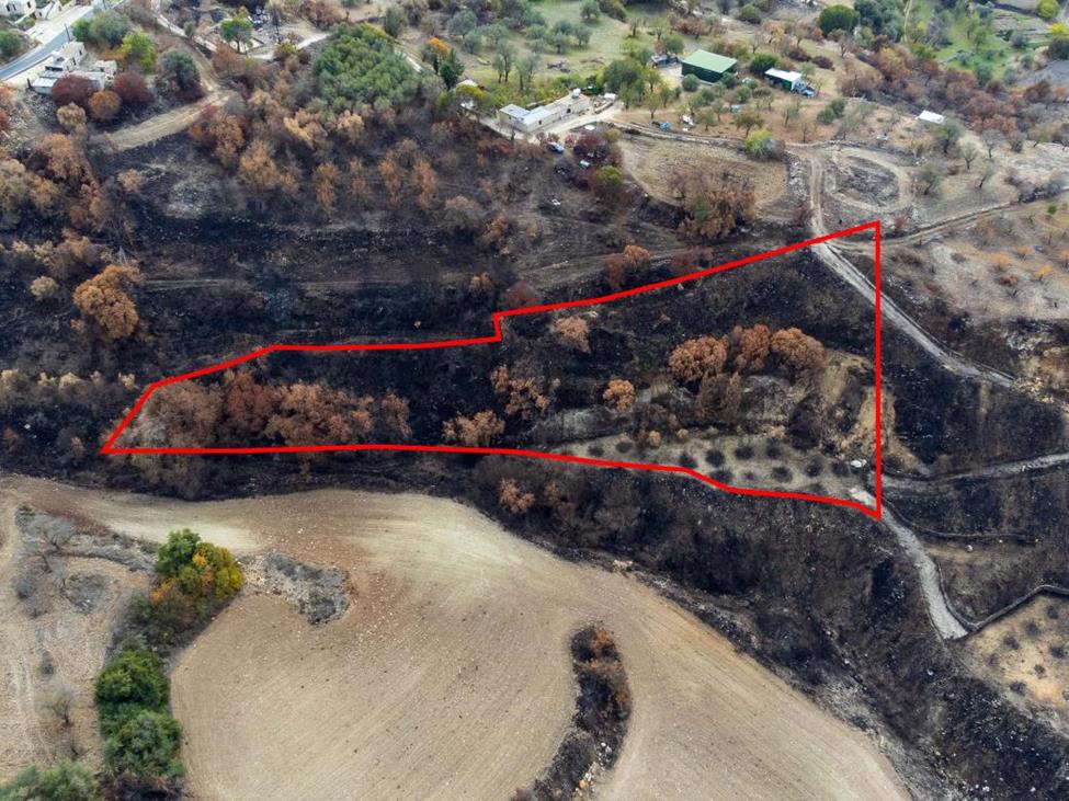 4261598195608828 image