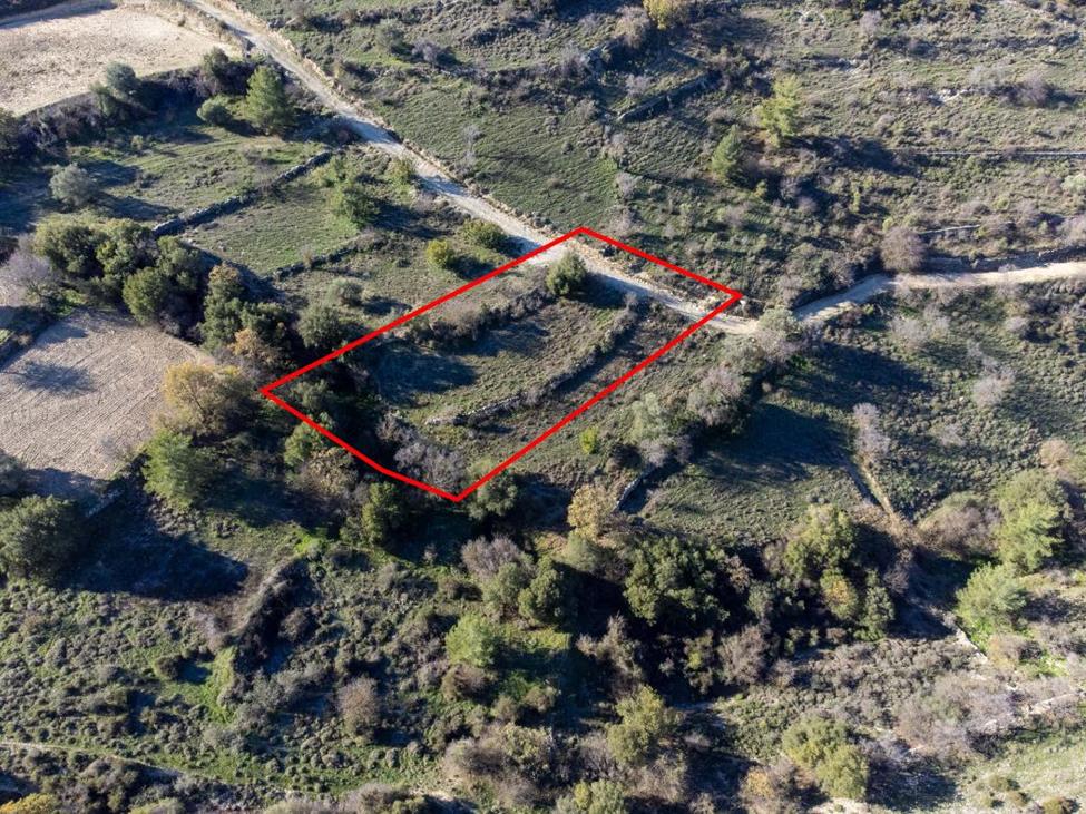 4261598318068828 image