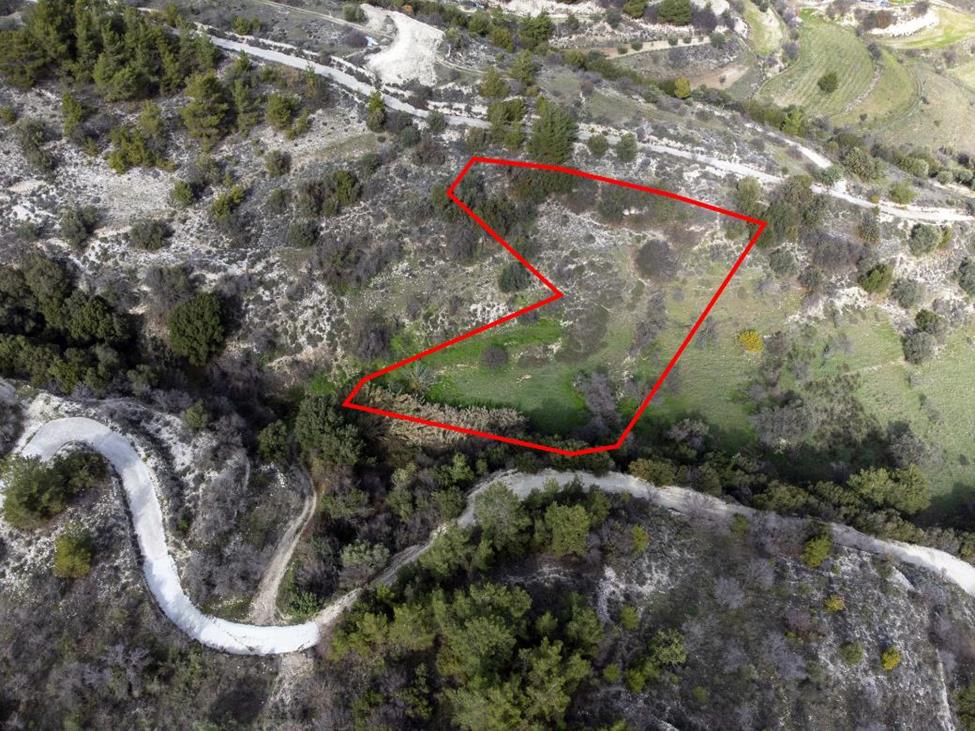 4261598436316828 image