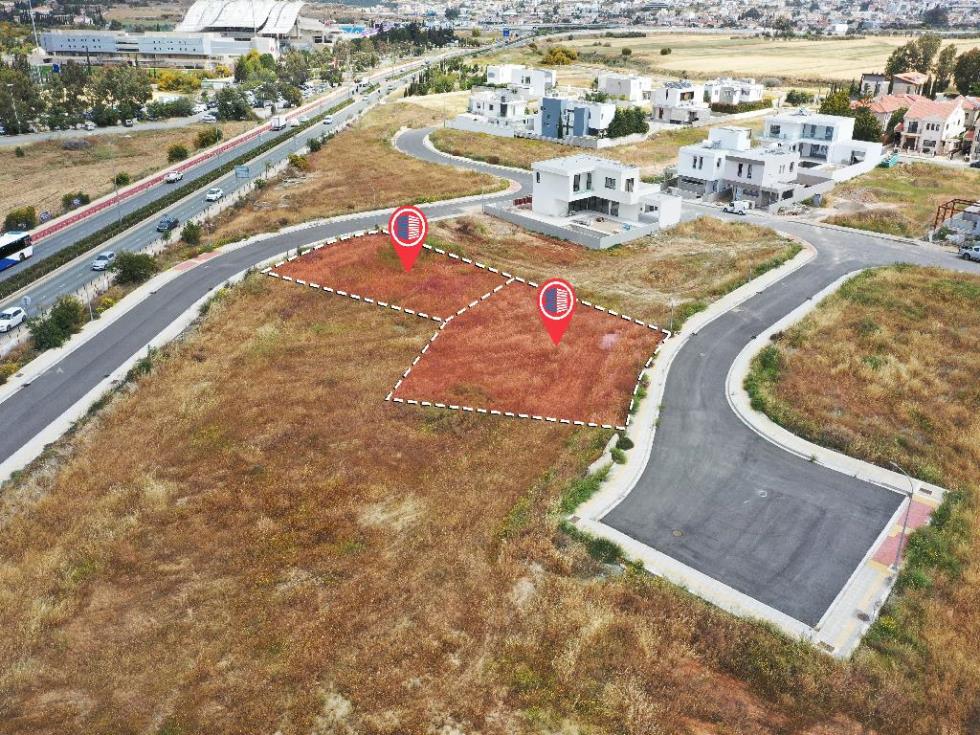 4265059128462548 CG10375