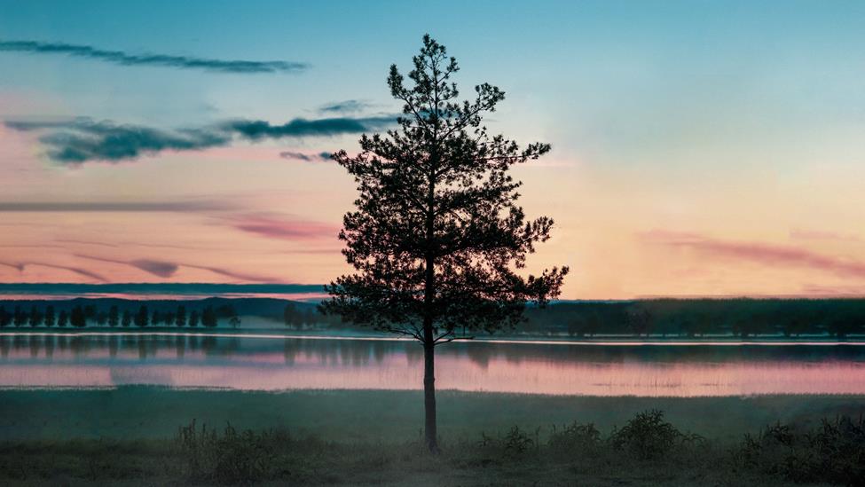 4270510531534086 image