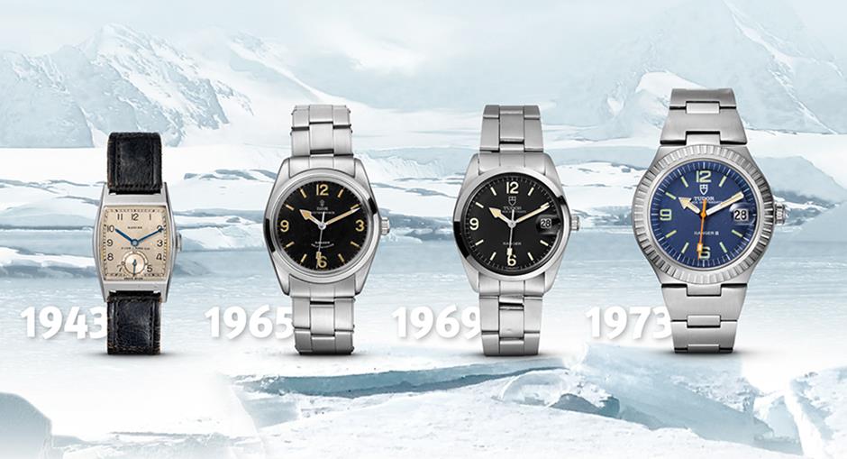 4275535187402338 image