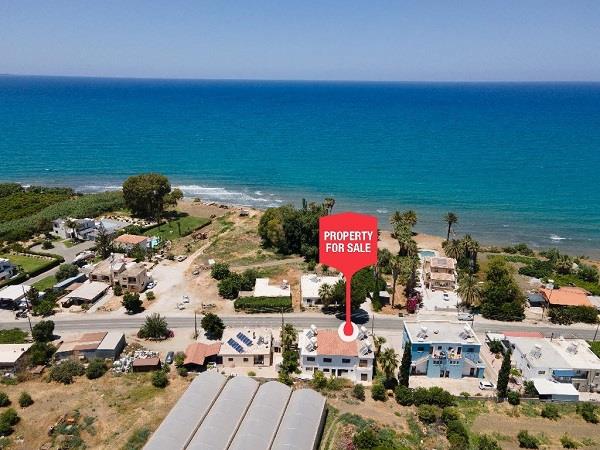 4318797946521845 cg10365