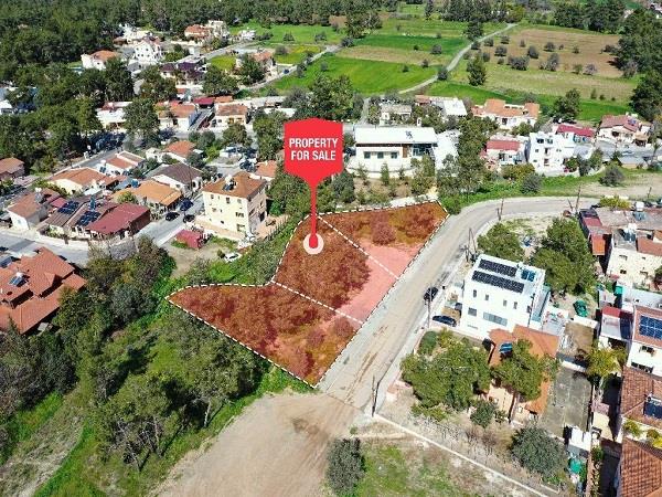 4318799067835469 CG10420