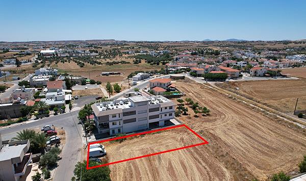 4328353223790892 image