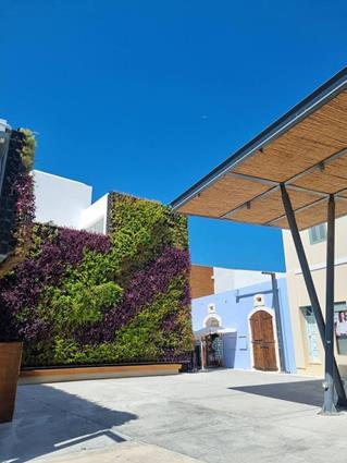 paphos