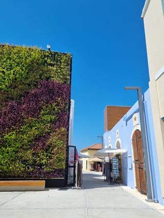 paphos2