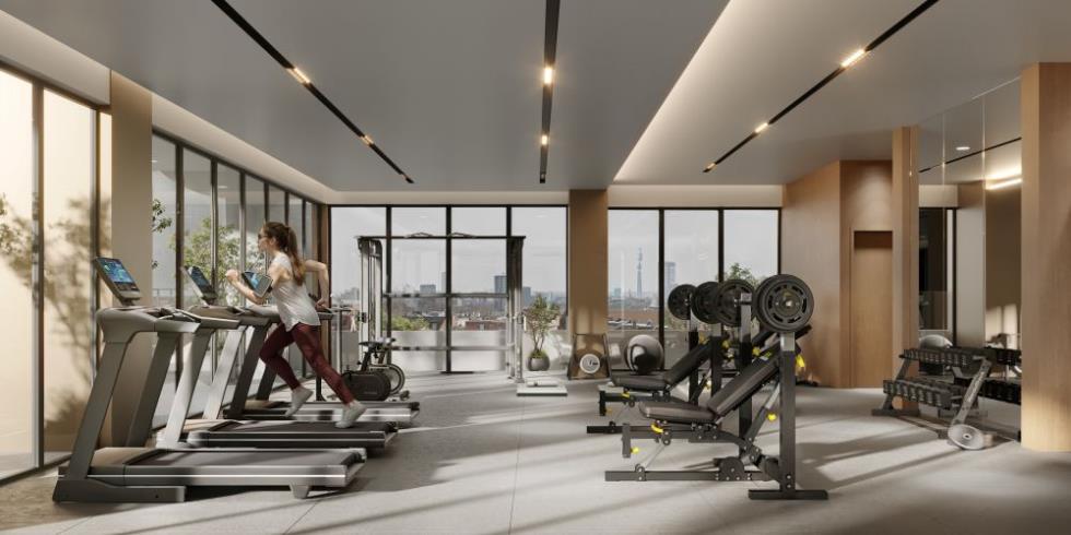 5256271725246403 GYM R02