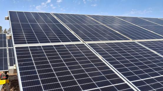 5317438813786024 image