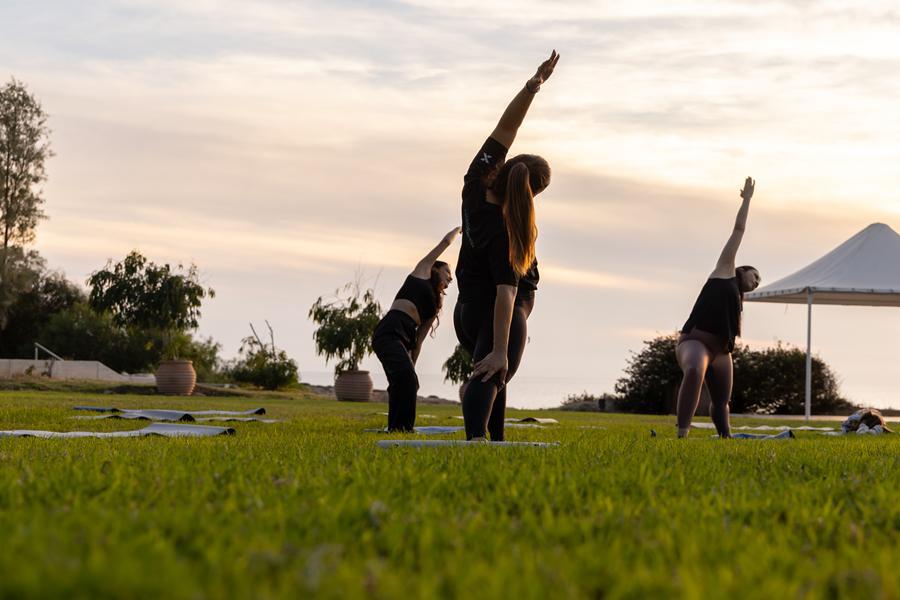 5317525416936891  92A7211 (Copy)