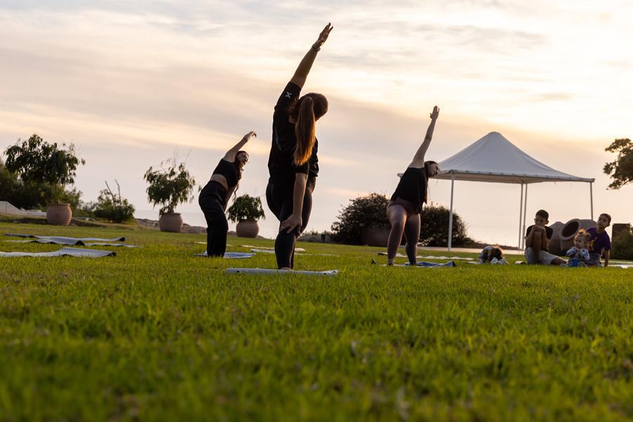 5317525424905567  92A7215 (Copy)