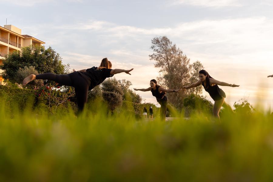 5317525447239534  92A7232 (Copy)