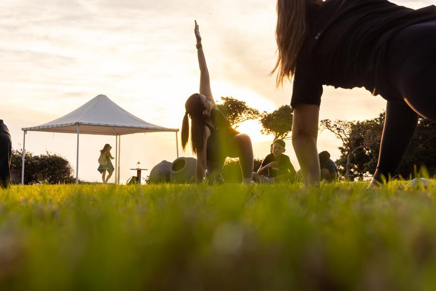 5317525624523010  92A7186 (Copy)