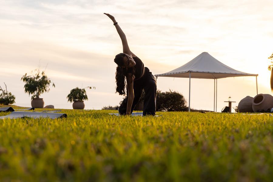 5317525614210517  92A7188 (Copy)